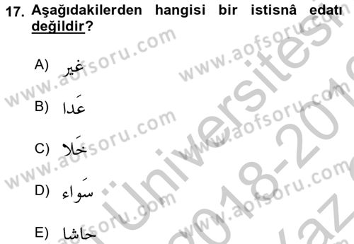 Arapça 4 Dersi 2018 - 2019 Yılı Yaz Okulu Sınav Soruları 17. Soru
