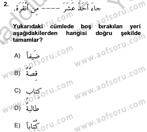 Arapça 4 Dersi 2018 - 2019 Yılı Yaz Okulu Sınav Soruları 2. Soru