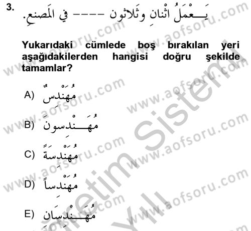 Arapça 4 Dersi 2018 - 2019 Yılı Yaz Okulu Sınav Soruları 3. Soru