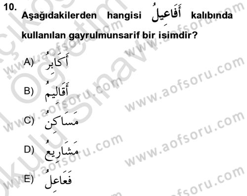 Arapça 4 Dersi 2020 - 2021 Yılı Yaz Okulu Sınav Soruları 10. Soru