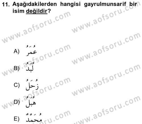 Arapça 4 Dersi 2020 - 2021 Yılı Yaz Okulu Sınav Soruları 11. Soru