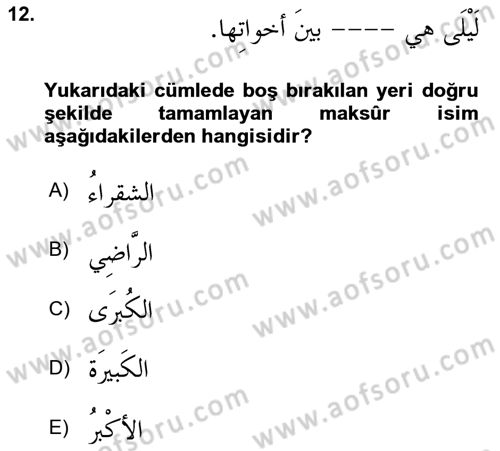 Arapça 4 Dersi 2020 - 2021 Yılı Yaz Okulu Sınav Soruları 12. Soru