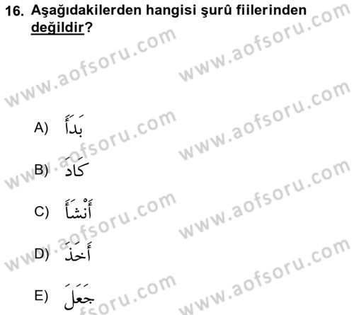 Arapça 4 Dersi 2020 - 2021 Yılı Yaz Okulu Sınav Soruları 16. Soru