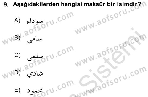 Arapça 4 Dersi 2020 - 2021 Yılı Yaz Okulu Sınav Soruları 9. Soru