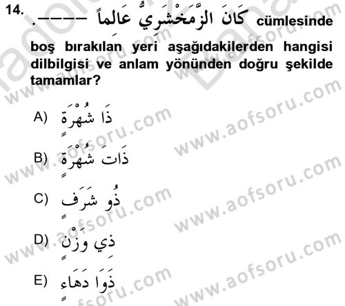 Arapça 4 Dersi 2021 - 2022 Yılı (Vize) Ara Sınav Soruları 14. Soru