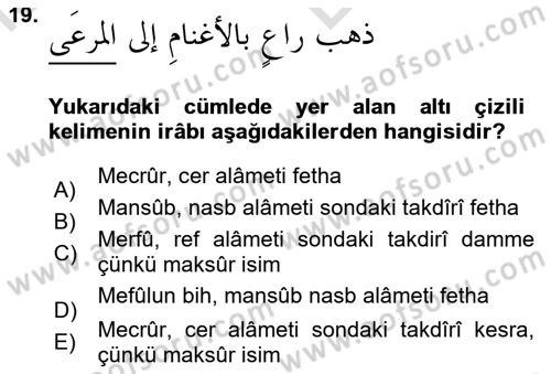 Arapça 4 Dersi 2021 - 2022 Yılı (Vize) Ara Sınav Soruları 19. Soru