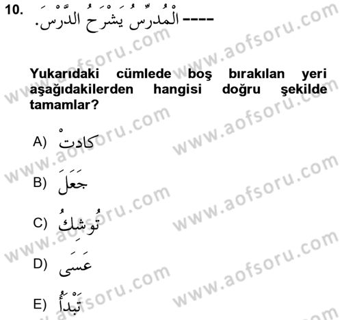 Arapça 4 Dersi 2021 - 2022 Yılı (Final) Dönem Sonu Sınavı 10. Soru
