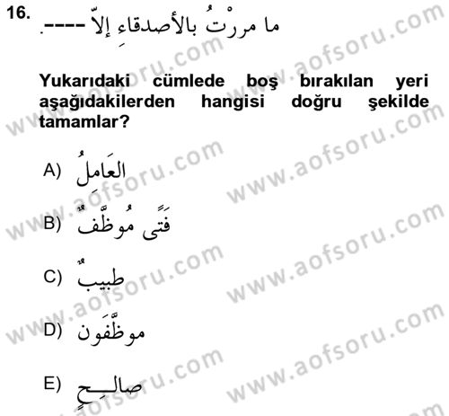 Arapça 4 Dersi 2021 - 2022 Yılı (Final) Dönem Sonu Sınavı 16. Soru