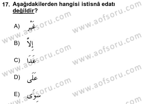 Arapça 4 Dersi 2021 - 2022 Yılı (Final) Dönem Sonu Sınav Soruları 17. Soru