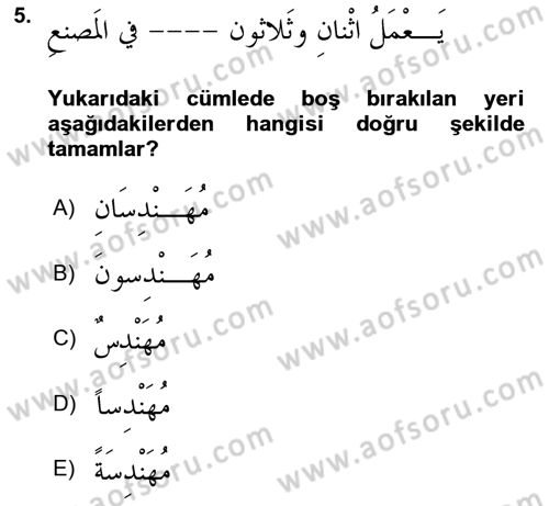 Arapça 4 Dersi 2021 - 2022 Yılı (Final) Dönem Sonu Sınavı 5. Soru