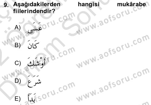 Arapça 4 Dersi 2021 - 2022 Yılı (Final) Dönem Sonu Sınav Soruları 9. Soru