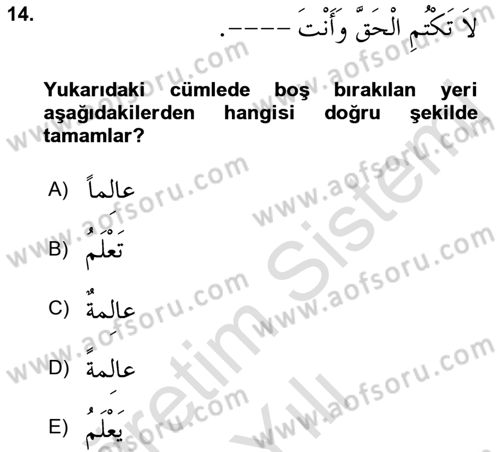 Arapça 4 Dersi 2021 - 2022 Yılı Yaz Okulu Sınav Soruları 14. Soru