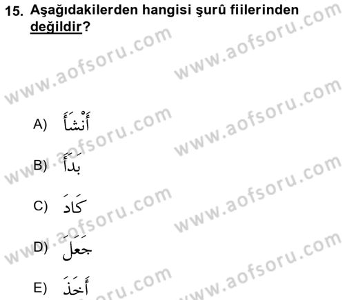 Arapça 4 Dersi 2022 - 2023 Yılı Yaz Okulu Sınav Soruları 15. Soru