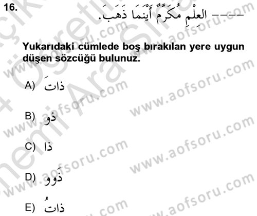 Arapça 4 Dersi 2023 - 2024 Yılı (Vize) Ara Sınav Soruları 16. Soru