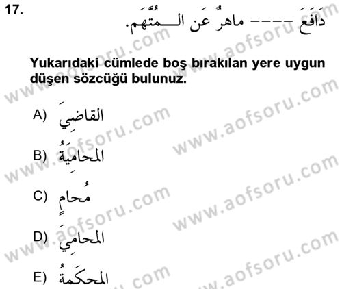 Arapça 4 Dersi 2023 - 2024 Yılı (Vize) Ara Sınav Soruları 17. Soru