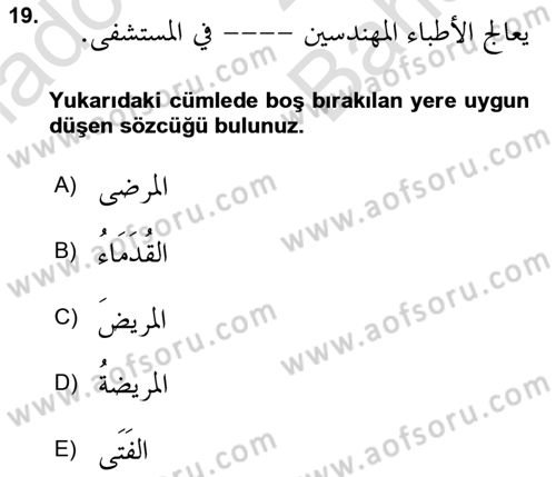 Arapça 4 Dersi 2023 - 2024 Yılı (Vize) Ara Sınav Soruları 19. Soru