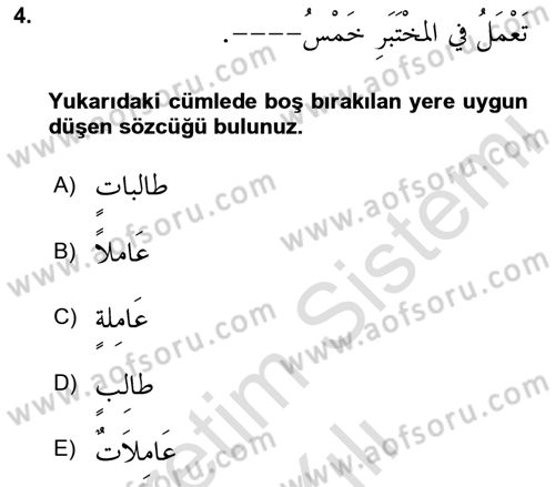 Arapça 4 Dersi 2023 - 2024 Yılı (Vize) Ara Sınav Soruları 4. Soru