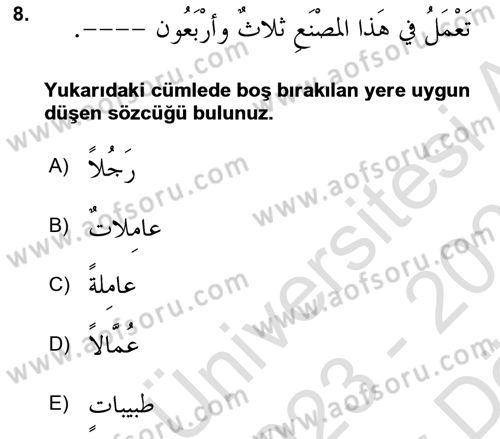 Arapça 4 Dersi 2023 - 2024 Yılı (Vize) Ara Sınav Soruları 8. Soru