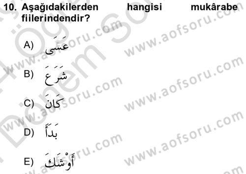 Arapça 4 Dersi 2023 - 2024 Yılı (Final) Dönem Sonu Sınav Soruları 10. Soru