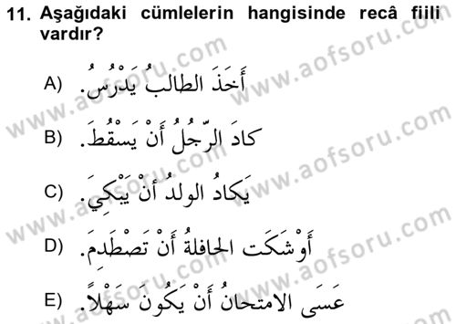 Arapça 4 Dersi 2023 - 2024 Yılı (Final) Dönem Sonu Sınav Soruları 11. Soru