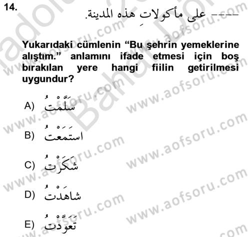 Arapça 4 Dersi 2023 - 2024 Yılı (Final) Dönem Sonu Sınav Soruları 14. Soru