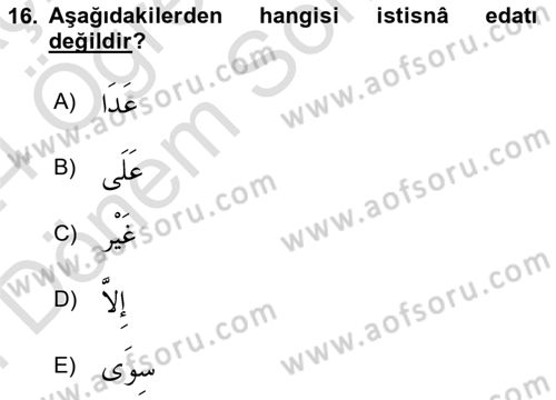 Arapça 4 Dersi 2023 - 2024 Yılı (Final) Dönem Sonu Sınav Soruları 16. Soru