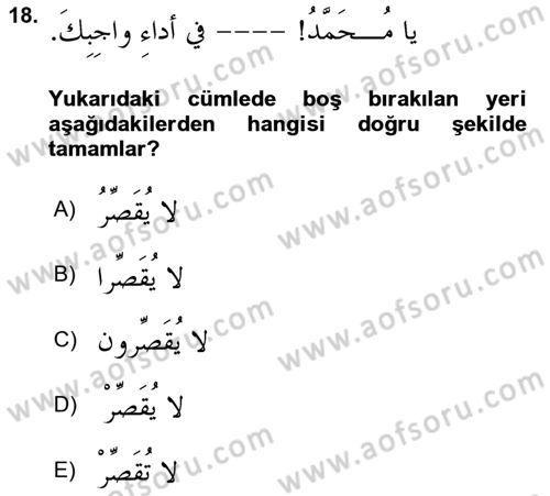 Arapça 4 Dersi 2023 - 2024 Yılı (Final) Dönem Sonu Sınav Soruları 18. Soru