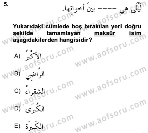 Arapça 4 Dersi 2023 - 2024 Yılı (Final) Dönem Sonu Sınav Soruları 5. Soru