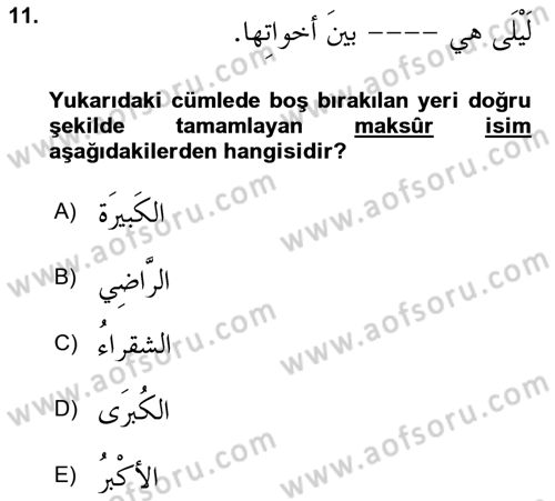 Arapça 4 Dersi 2023 - 2024 Yılı Yaz Okulu Sınav Soruları 11. Soru