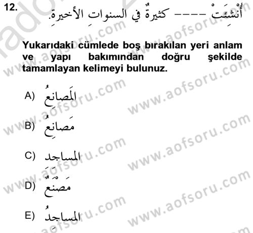 Arapça 4 Dersi 2023 - 2024 Yılı Yaz Okulu Sınavı 12. Soru