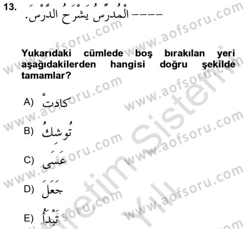 Arapça 4 Dersi 2023 - 2024 Yılı Yaz Okulu Sınav Soruları 13. Soru
