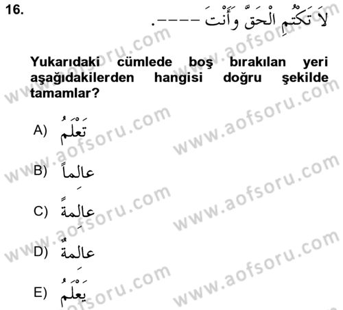 Arapça 4 Dersi 2023 - 2024 Yılı Yaz Okulu Sınav Soruları 16. Soru