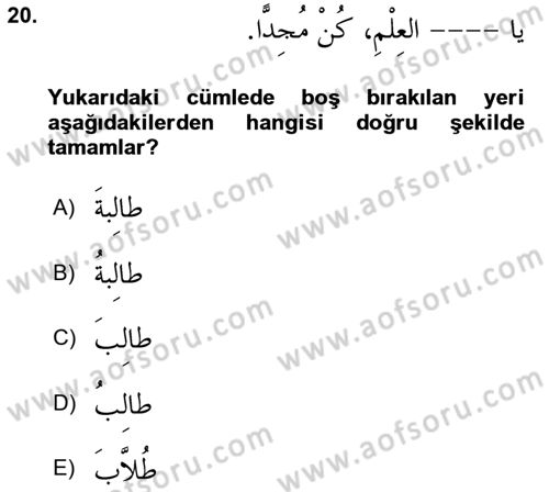 Arapça 4 Dersi 2023 - 2024 Yılı Yaz Okulu Sınav Soruları 20. Soru