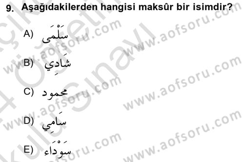 Arapça 4 Dersi 2023 - 2024 Yılı Yaz Okulu Sınav Soruları 9. Soru