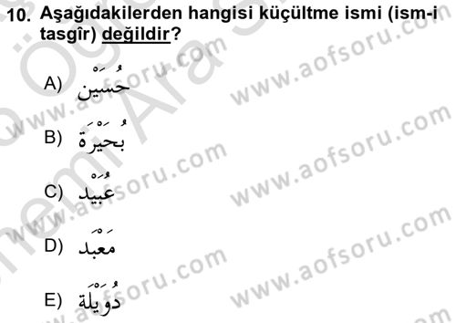 Arapça 4 Dersi 2024 - 2025 Yılı (Vize) Ara Sınav Soruları 10. Soru