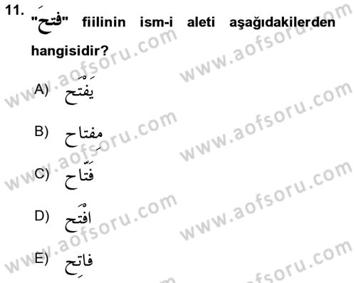 Arapça 4 Dersi 2024 - 2025 Yılı (Vize) Ara Sınav Soruları 11. Soru