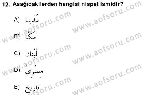 Arapça 4 Dersi 2024 - 2025 Yılı (Vize) Ara Sınav Soruları 12. Soru