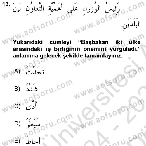 Arapça 4 Dersi 2024 - 2025 Yılı (Vize) Ara Sınav Soruları 13. Soru