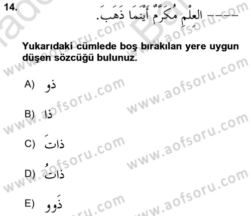 Arapça 4 Dersi 2024 - 2025 Yılı (Vize) Ara Sınav Soruları 14. Soru