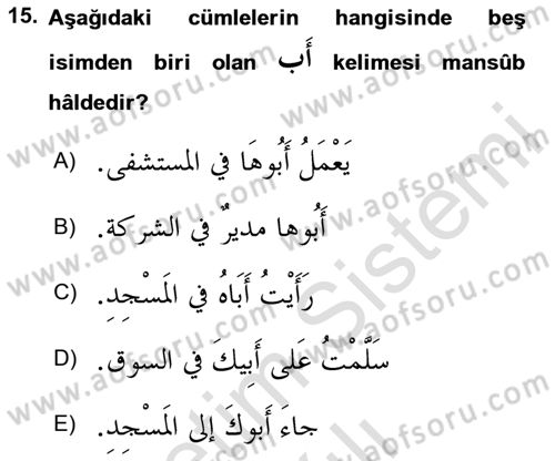 Arapça 4 Dersi 2024 - 2025 Yılı (Vize) Ara Sınav Soruları 15. Soru