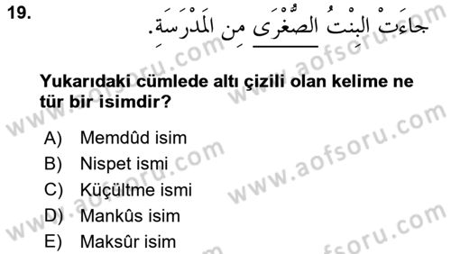 Arapça 4 Dersi 2024 - 2025 Yılı (Vize) Ara Sınav Soruları 19. Soru