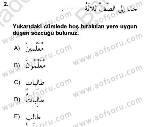 Arapça 4 Dersi 2024 - 2025 Yılı (Vize) Ara Sınav Soruları 2. Soru