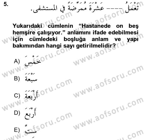 Arapça 4 Dersi 2024 - 2025 Yılı (Vize) Ara Sınav Soruları 5. Soru