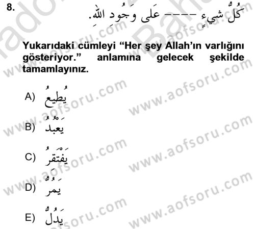 Arapça 4 Dersi 2024 - 2025 Yılı (Vize) Ara Sınav Soruları 8. Soru