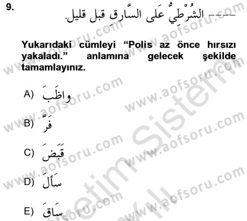 Arapça 4 Dersi 2024 - 2025 Yılı (Vize) Ara Sınav Soruları 9. Soru