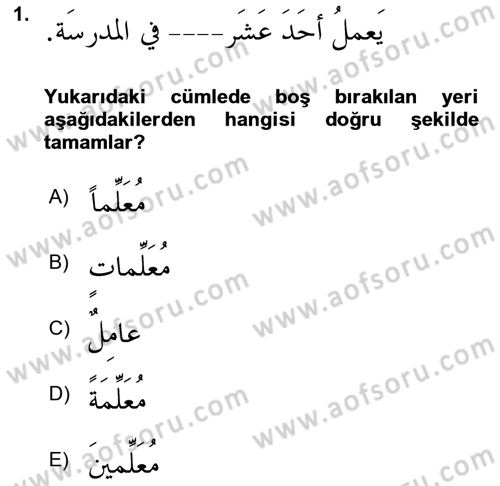 Arapça 4 Dersi 2024 - 2025 Yılı (Final) Dönem Sonu Sınav Soruları 1. Soru
