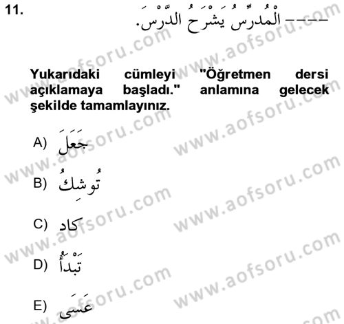 Arapça 4 Dersi 2024 - 2025 Yılı (Final) Dönem Sonu Sınav Soruları 11. Soru