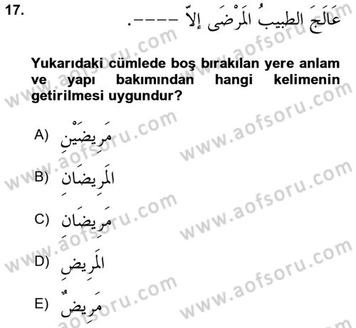Arapça 4 Dersi 2024 - 2025 Yılı (Final) Dönem Sonu Sınav Soruları 17. Soru