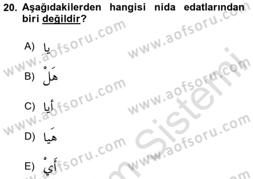 Arapça 4 Dersi 2024 - 2025 Yılı (Final) Dönem Sonu Sınav Soruları 20. Soru