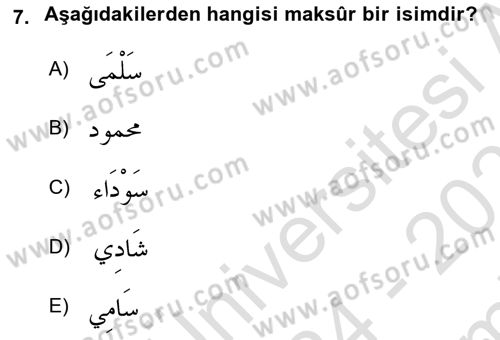 Arapça 4 Dersi 2024 - 2025 Yılı (Final) Dönem Sonu Sınav Soruları 7. Soru